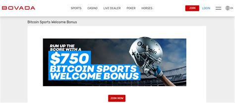 bovada cricket|bovada check.